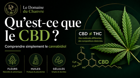 Qu’est-ce que le CBD ?