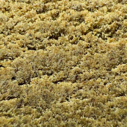 3x Filtré CBD 50%