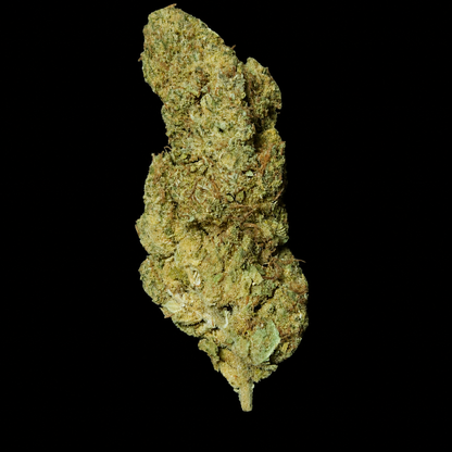 Nexus - Indoor