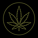 Fleurs de CBD