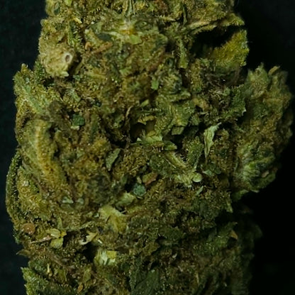 Cannatonic - Green House
