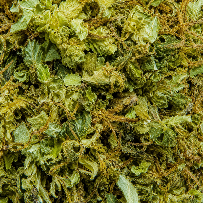 Cannatonic Small Bud NL1 20% – Fleur CBD infusée