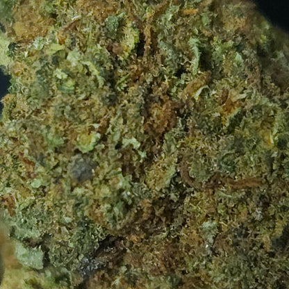 Fruity Haze Small Bud – Greenhouse