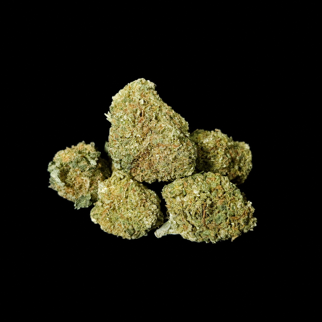 Fruity Haze Small Bud – Greenhouse