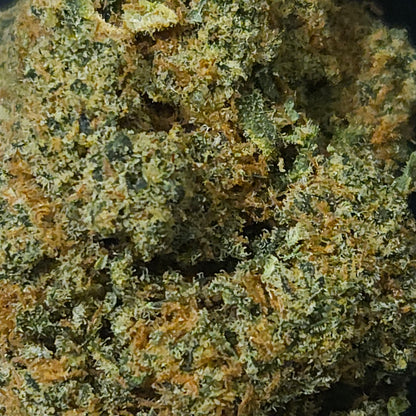 GP3 OG Kush - Indoor