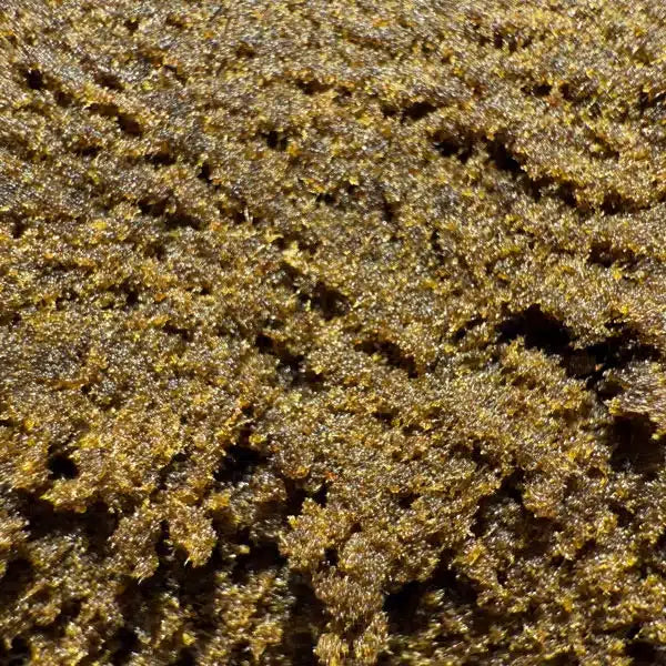 Zkittlez Hash CBD 20% + CBN 15% - Résine CBD/CBN
