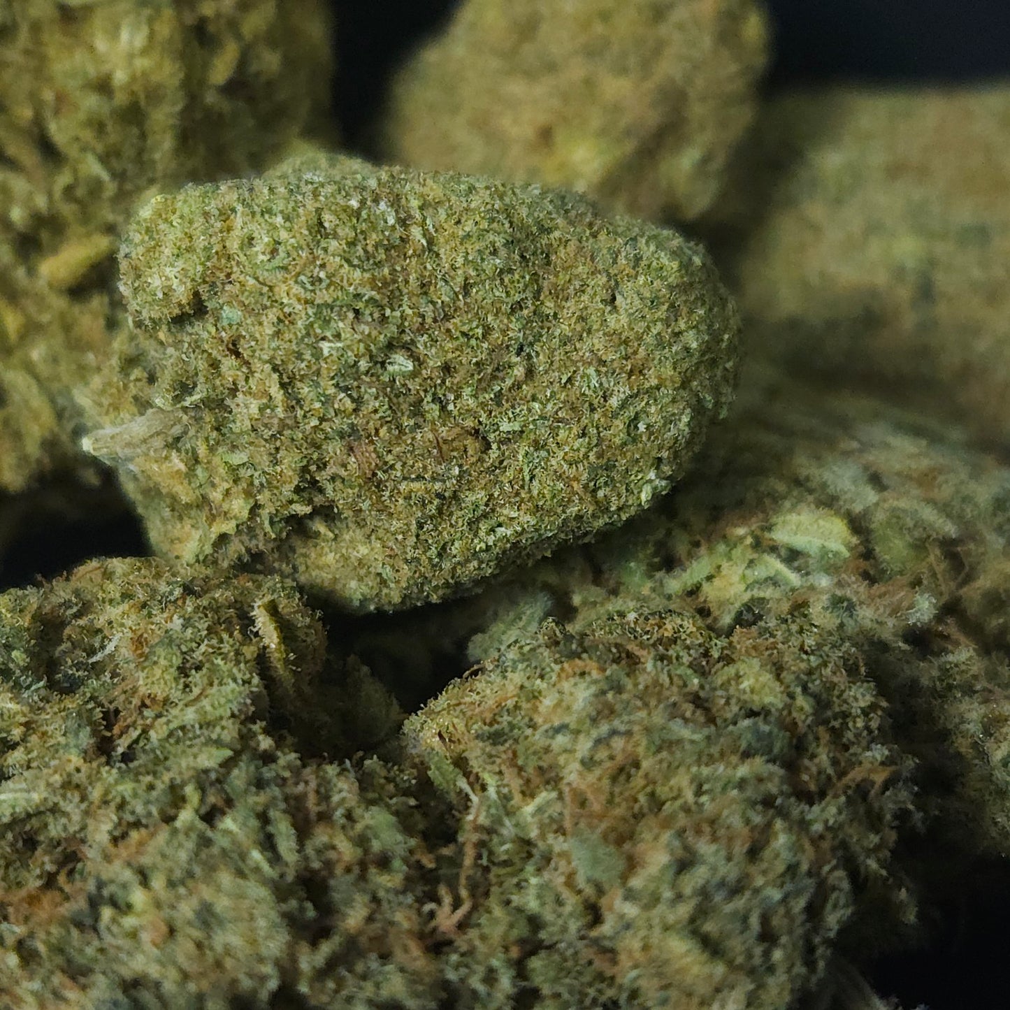 Indoor Mix