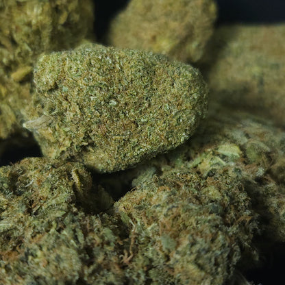 Indoor Mix
