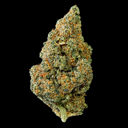 Lemon Pop - Indoor