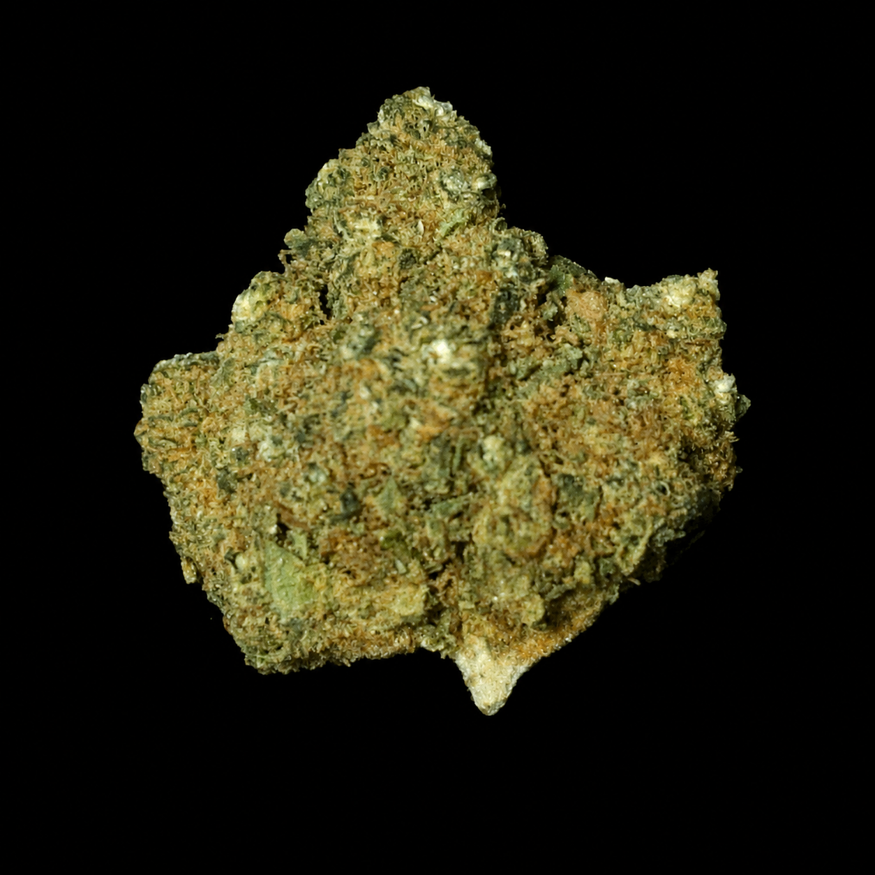 Pineapple - Indoor