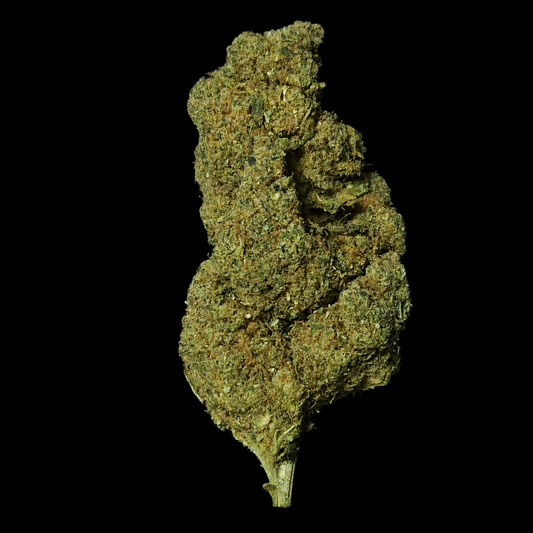 Plutonium - Indoor