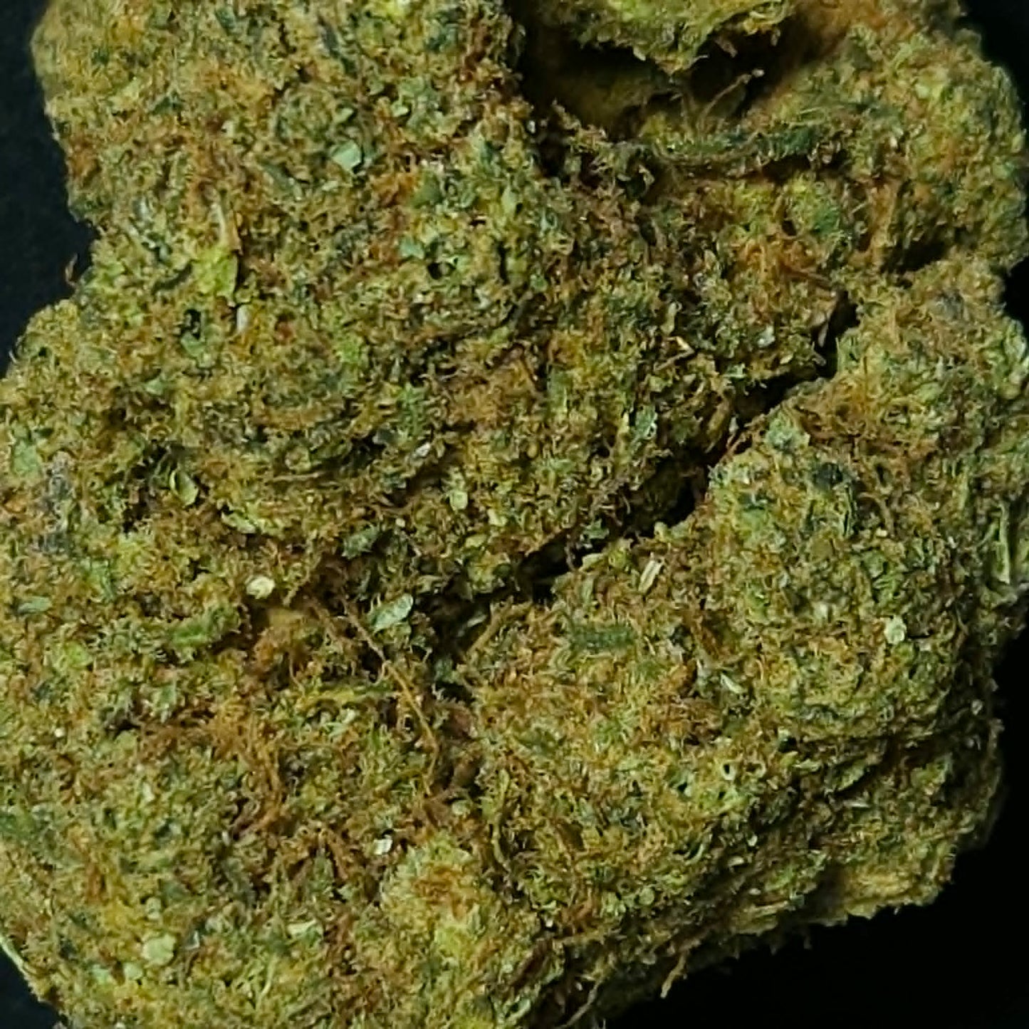 Plutonium - Indoor