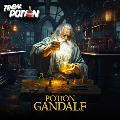 Potion Gandalf Tribal Potion – Pêche Ananas Mangue Passion Fruits Rouges – 50 ml