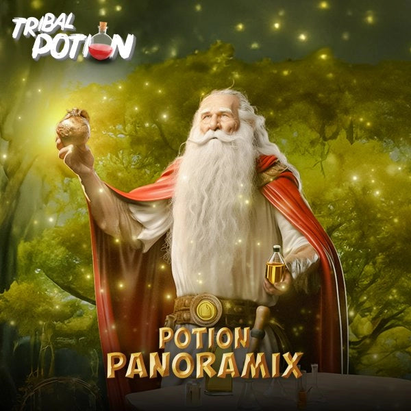 Potion Panoramix Tribal Potion – Passion Citron Vert Mangue – 50 ml