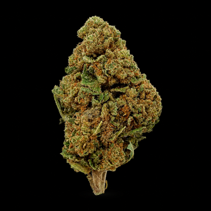 Watermelon CBD – Green-House